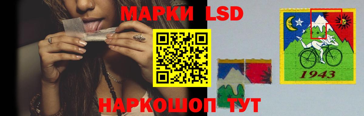 МЕФ Ефремов