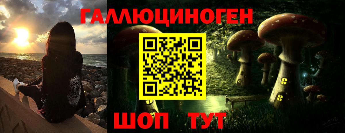 Галлюциногенные грибы Psilocybine cubensis  Галлюциногенные грибы прущие грибы  Ефремов  Вход с VPN 